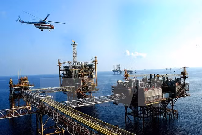 Le Vietnam a un potentiel énorme pour développer son économie bleue ảnh 1