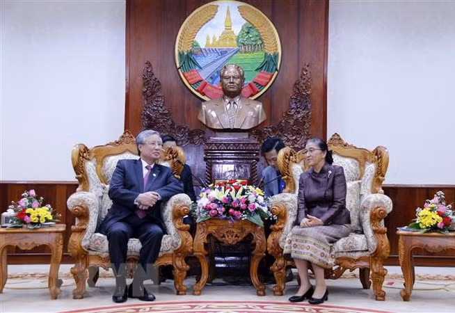 Promotion des relations spéciales Vietnam - Laos ảnh 1