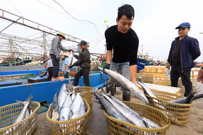 Aquaculture : les exportations en 2018 pourrait atteindre neuf milliards de dollars ảnh 2