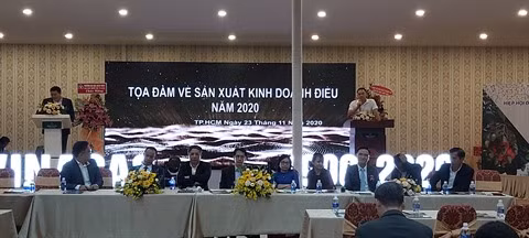 Plus de 31 milliards d'USD réalisés avec les exportations de noix de cajou ảnh 1