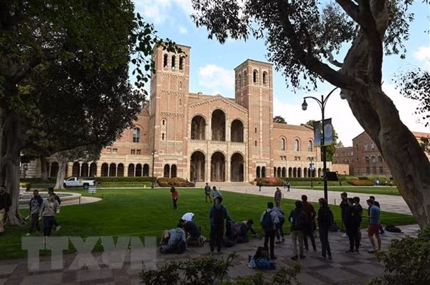 Les étudiants vietnamiens aux Etats-Unis appelés à rester calmes devant la nouvelle règle de l’ICE ảnh 1