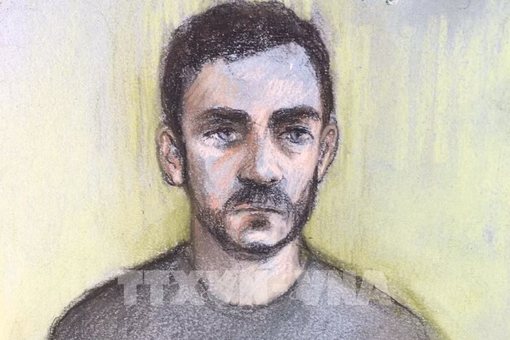 Camion charnier au Royaume- Uni : le chauffeur plaide coupable d’homicides involontaires ảnh 1