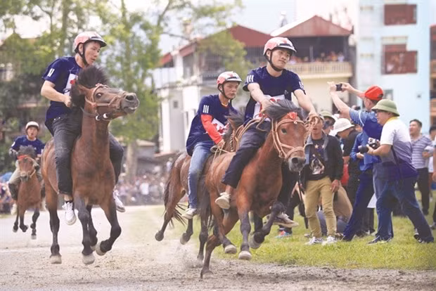 Le festival d'hiver de Bac Ha met en valeur la culture des Mong ảnh 1