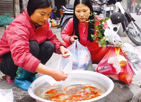 Têt vietnamien, mode d’emploi ảnh 2