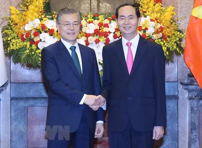 Le président Tran Dai Quang et son homologue sud-coréen président un point presse conjoint ảnh 1