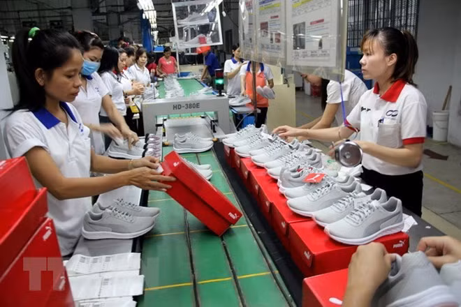 Les chaussures du Vietnam conserveront des avantages compétitifs plusieurs décennies ảnh 1