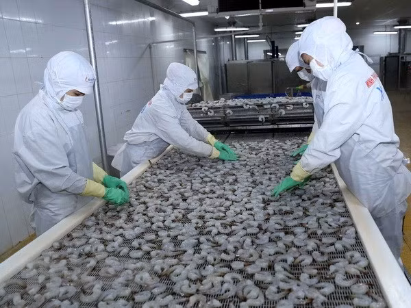 Le Vietnam est déterminé au développement durable des produits aquatiques ảnh 1