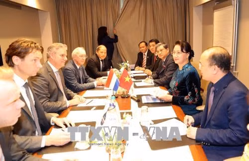 Le Vietnam s'engage à favoriser les investissements étrangers ảnh 1