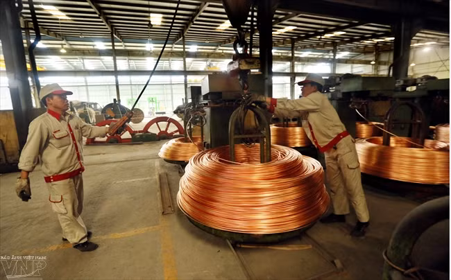 Le Japon, 1er importateur de câbles et fils électriques vietnamiens ảnh 1