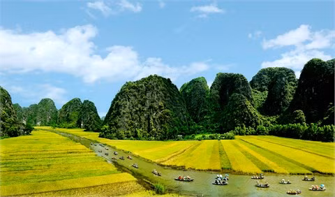 La bande-annonce officielle de "Kong : Skull Island" révèle des paysages imposants du Vietnam ảnh 1