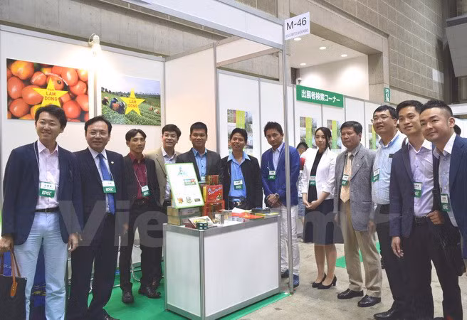 Sept entreprises de Lâm Dông promeuvent leurs produits au Japon ảnh 1