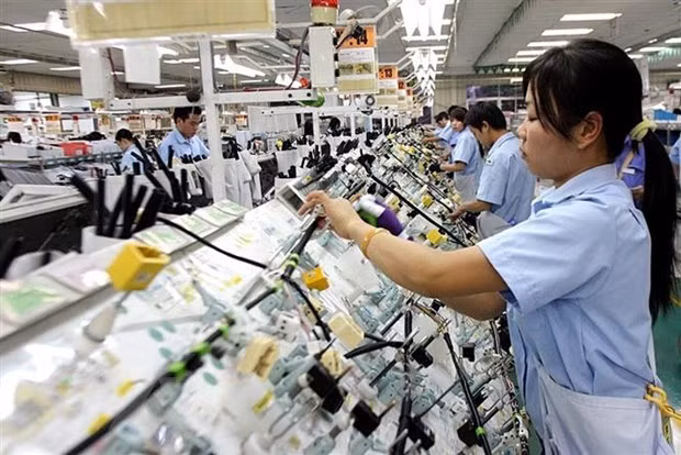 Le marché du travail du Vietnam rebondit rapidement ảnh 1