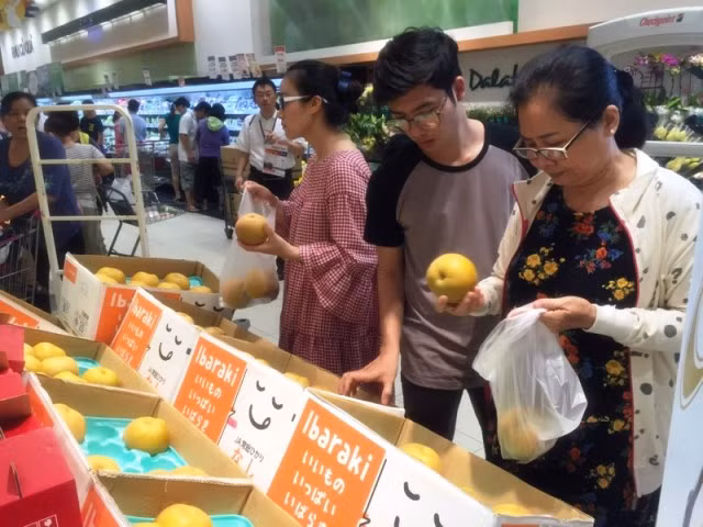 Promotion des produits agricoles du Japon sur le marché vietnamien ảnh 1