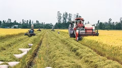 APEC 2017 : renforcement de la sécurité vivrière et de l’adaptation au changement climatique ảnh 1