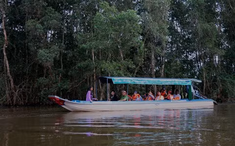 Où aller pendant la Fête nationale ? ảnh 1