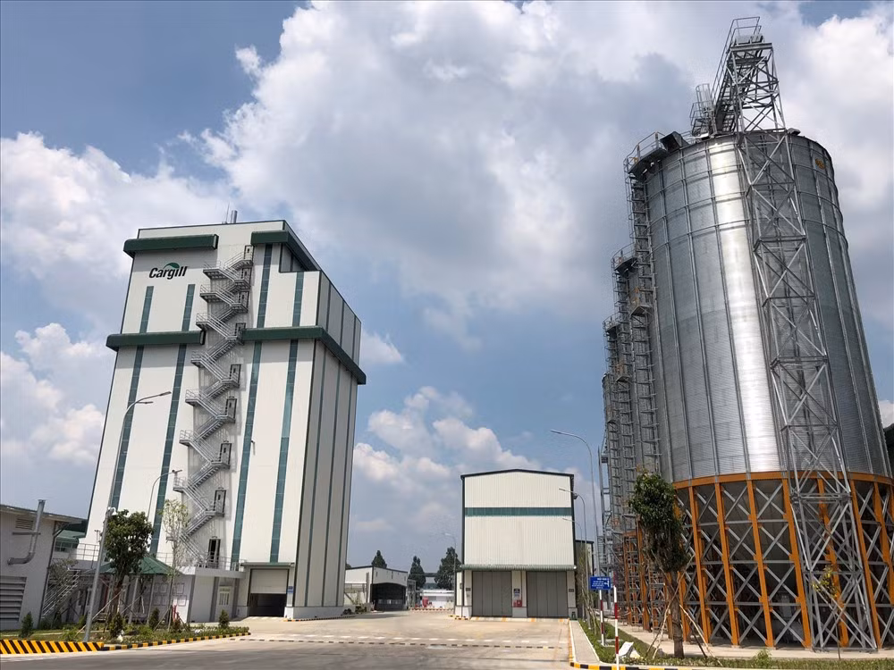 De nombreuses entreprises étrangères se délocalisent vers le Vietnam ảnh 1