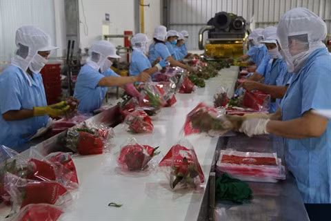 L’agriculture vietnamienne s’efforce de s’adapter au marché et aux changements climatiques ảnh 2