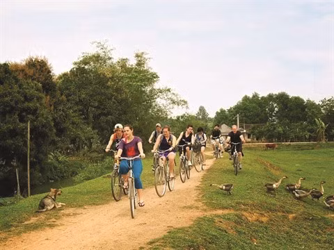 Ninh Binh, l’éveil de la Belle Endormie ảnh 3