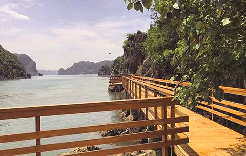 L’îlot Soi Sim, la nature tout simplement! ảnh 2