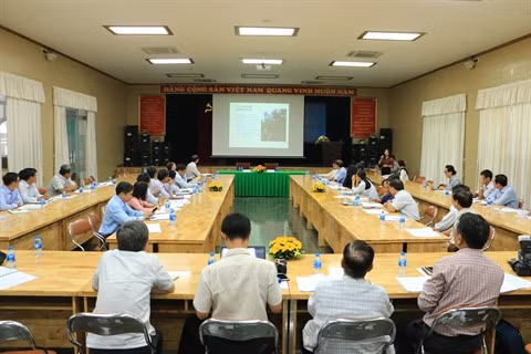 Des mesures pour lutter contre les épidémies sur les anacardiers ảnh 1