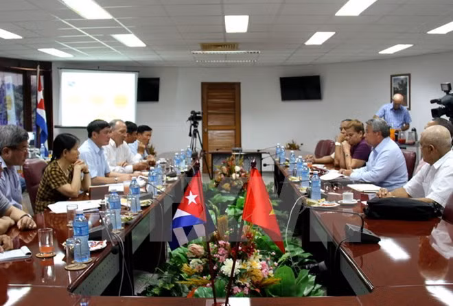 Syndicalisme: Vietnam et Cuba conviennent de resserrer leur coopération ảnh 1