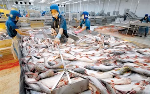 Le Vietnam s’engage à lutter contre la pêche illicite ảnh 2