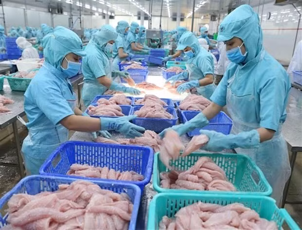 Les exportations de produits agricoles, sylvicoles et aquatiques en hausse en janvier ảnh 1
