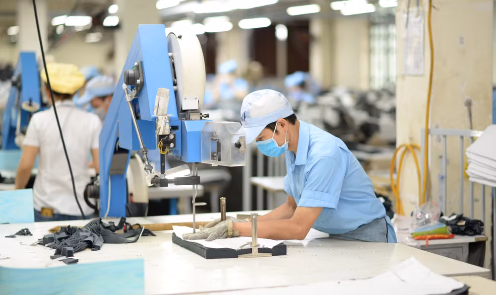 Le textile-habillement doit aplanir les faux plis pour accélérer sa croissance ảnh 2