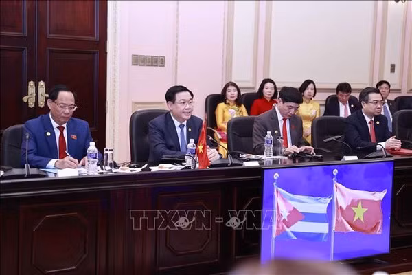 Cuba souhaite approfondir ses relations traditionnelles spéciales avec le Vietnam ảnh 5