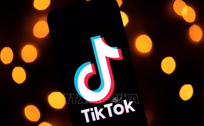 Le ministère de l’Information et des Communications prévoit une inspection de TikTok en mai ảnh 1