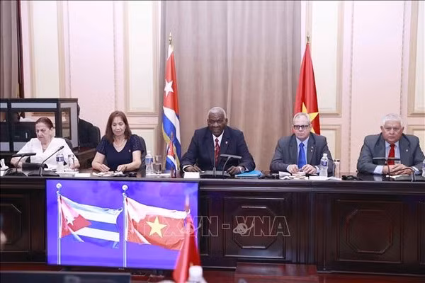 Cuba souhaite approfondir ses relations traditionnelles spéciales avec le Vietnam ảnh 4