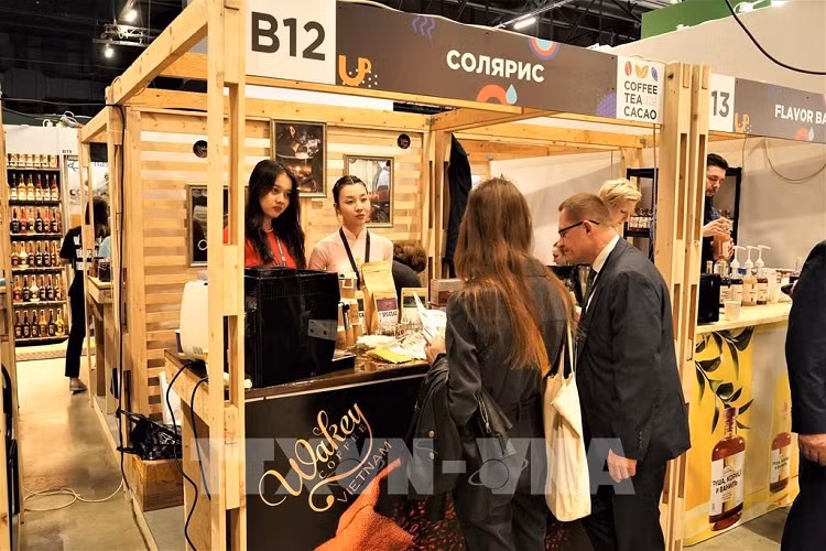 Une entreprise vietnamienne promeut la commercialisation du café en Russie ảnh 2
