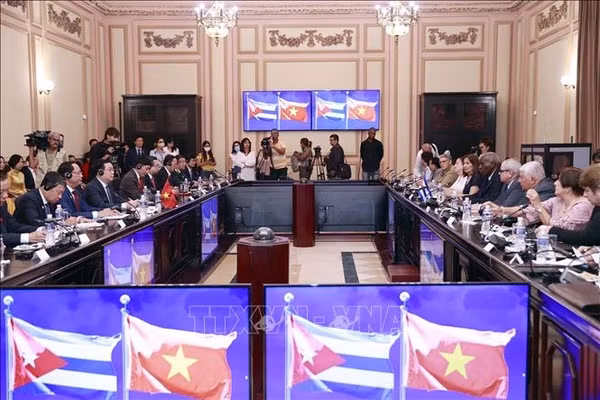 Cuba souhaite approfondir ses relations traditionnelles spéciales avec le Vietnam ảnh 3