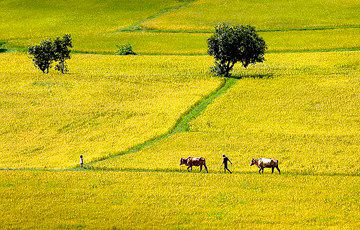 Le Vietnam, l'un des pays les plus pacifiques du monde ảnh 1