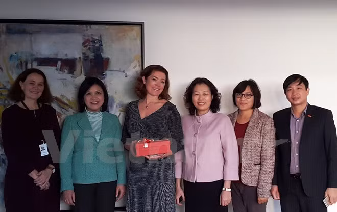 Vietnam-Norvège coopèrent dans la formation professionnelle ảnh 1