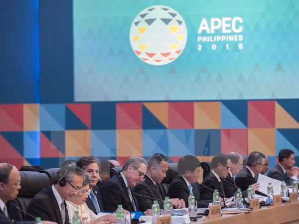 Clôture de la conférence ministérielle des AE et de l’Economie de l'APEC ảnh 1