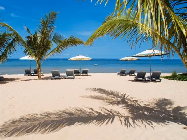 Année nationale du tourisme 2016 : découvrir la terre du Sud ảnh 1