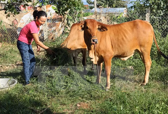 Promulgation de l'indice de pauvreté multicritère pour la période 2016-2020 ảnh 1