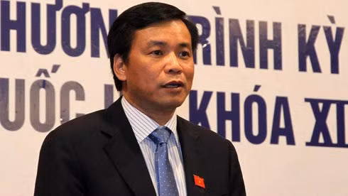 L’AN ratifie la liste des 21 membres du Conseil électoral national ảnh 1