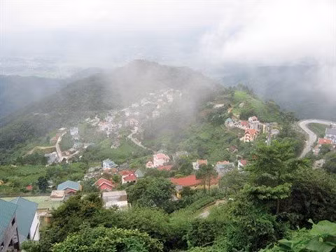 Tam Dao, une destination idéale ảnh 1