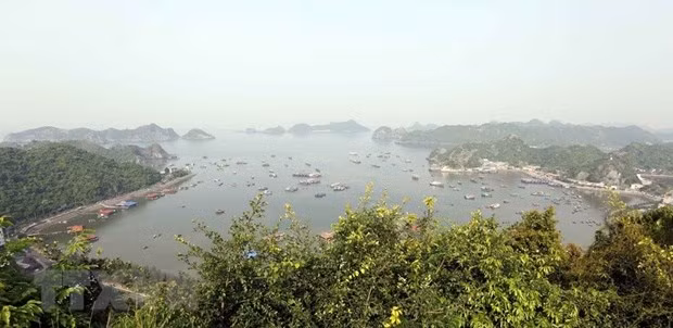 Le Vietnam s’efforce de préserver ses réserves de biosphère ảnh 1