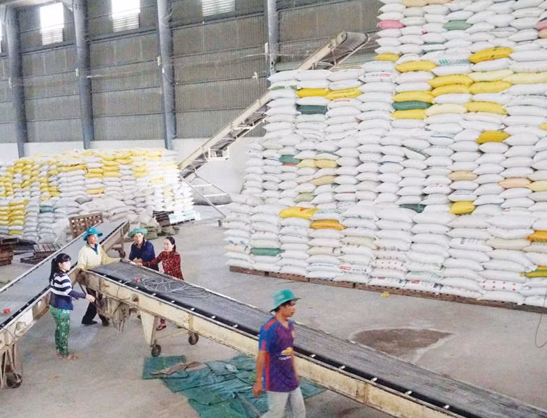 Le Vietnam exporte plus de 5,7 millions de tonnes de riz en onze mois ảnh 1