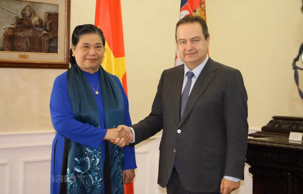 La vice-présidente de l’AN Tong Thi Phong rencontre le vice-PM serbe Ivica Dacic ảnh 1