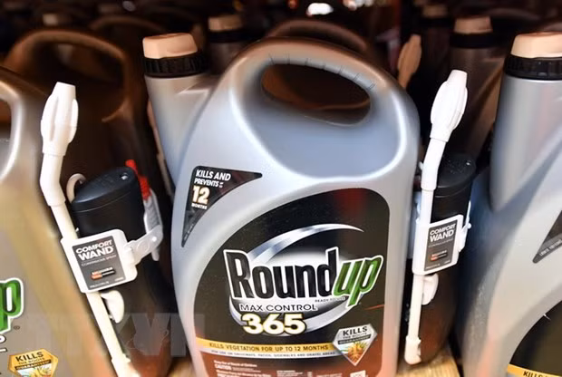 Le glyphosate émiliné de la liste des produits autorisés au Vietnam ảnh 1