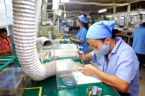Le Vietnam réalise un excédent commercial de 455,5 millions de dollars avec le Canada ảnh 1