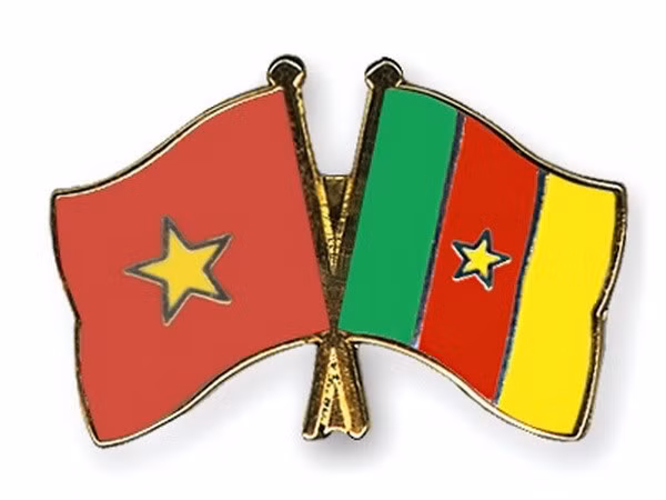 Le Vietnam promeut son partenariat avec le Cameroun ảnh 1