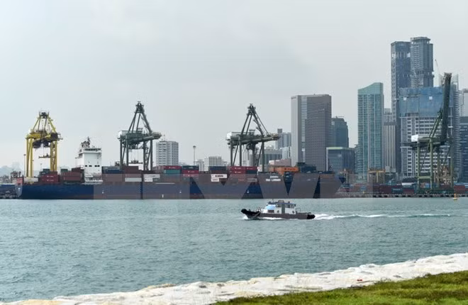Les exportations de Singapour en hausse ininterrompue depuis cinq mois ảnh 1