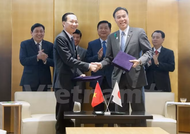 HCM-Ville coopère avec Nagano (Japon) dans l'industrie, l'agriculture et le tourisme ảnh 2
