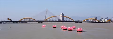 Dà Nang : vers un environnement vert, propre et beau pour l’APEC-2017 ảnh 1