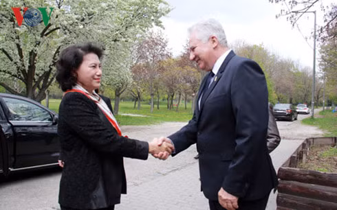 Vietnam-Hongrie : renforcement des relations entre les deux organes législatifs ảnh 1